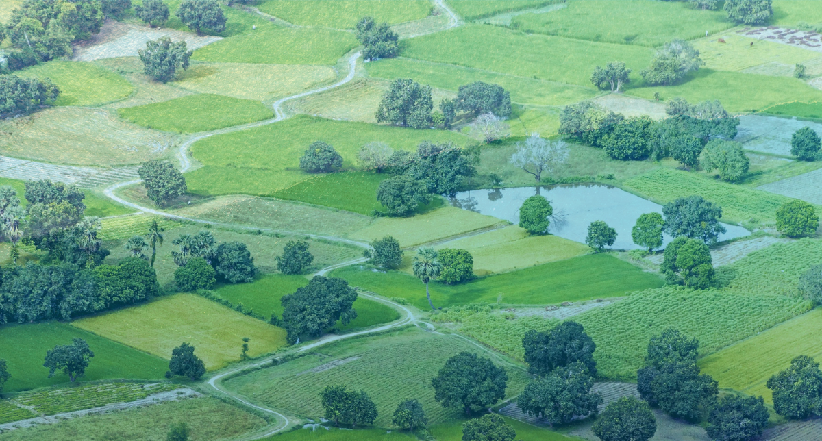 Key takeaways from a 2025 Court Judgement on Land Use Right Transfer to a Company with Foreign Capital