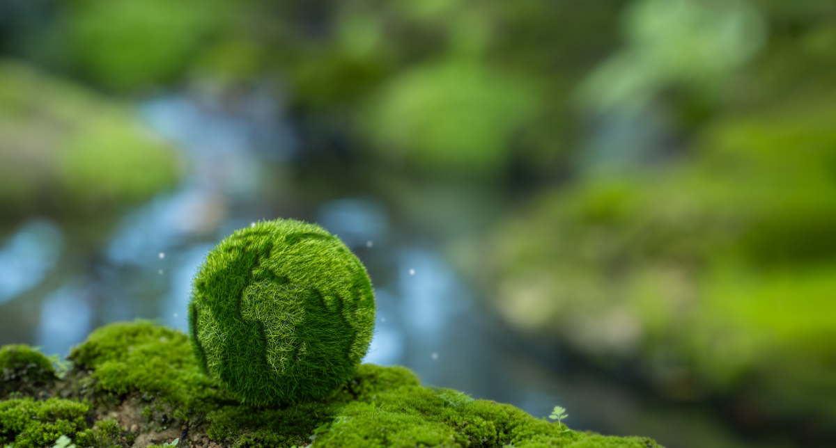 Vietnam Establishes Framework For Domestic Carbon Trading