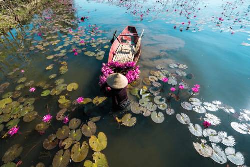 Bản Tin Frasers Số 4 Năm, 2012